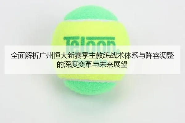 全面解析广州恒大新赛季主教练战术体系与阵容调整的深度变革与未来展望 - LEYU SPORTS